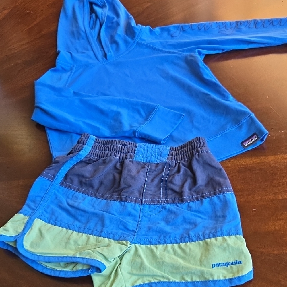 Patagonia Vibrant Blue Hoodie and Colorblock Shorts